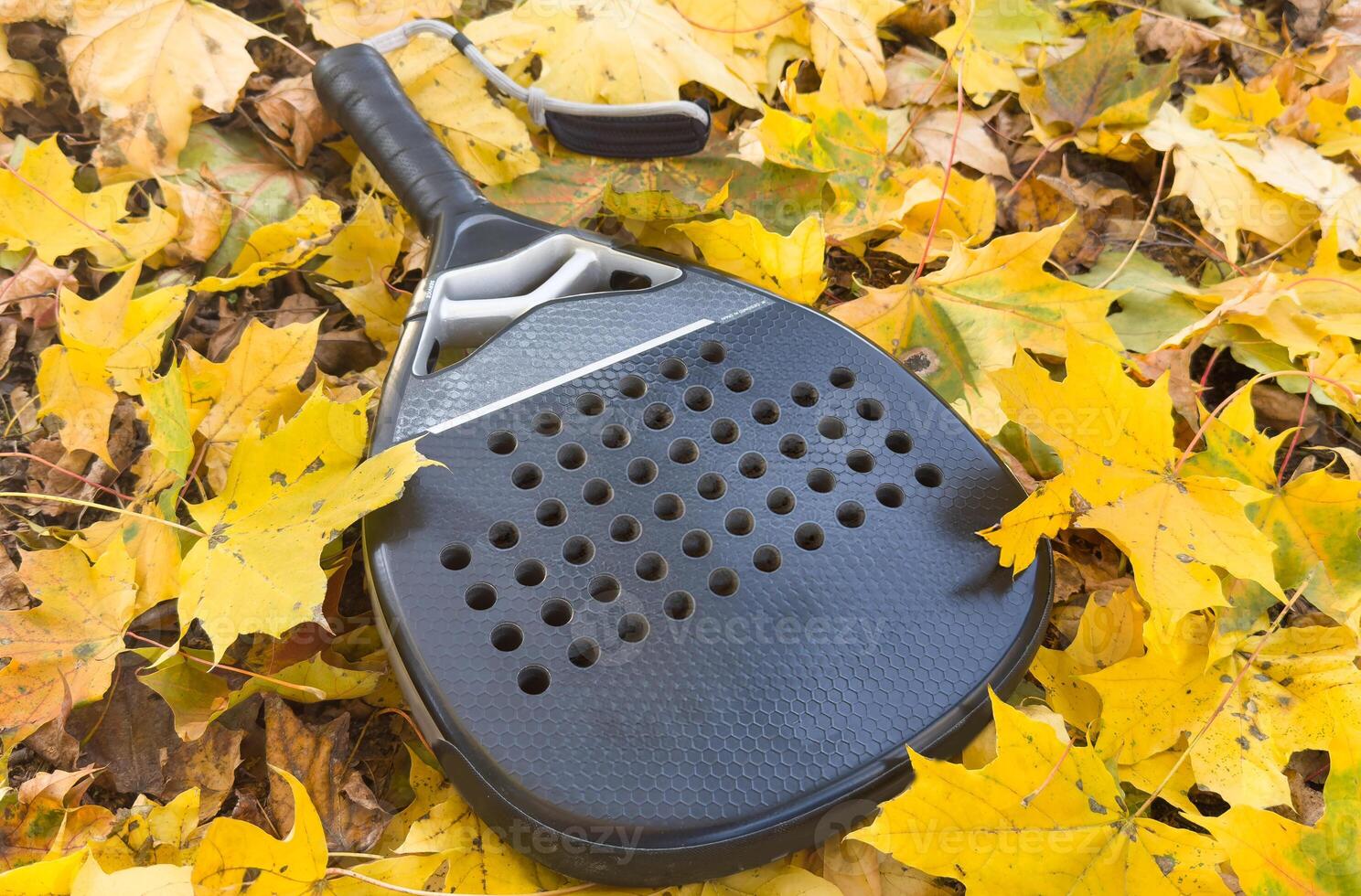 padel racket and yellow autumn leaves photo