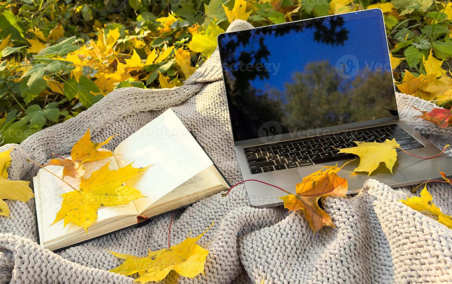 Light up Autumn maple leaves near to the laptop computer. Colorful fall concept. Top view and flat lay. Cozy work space. photo