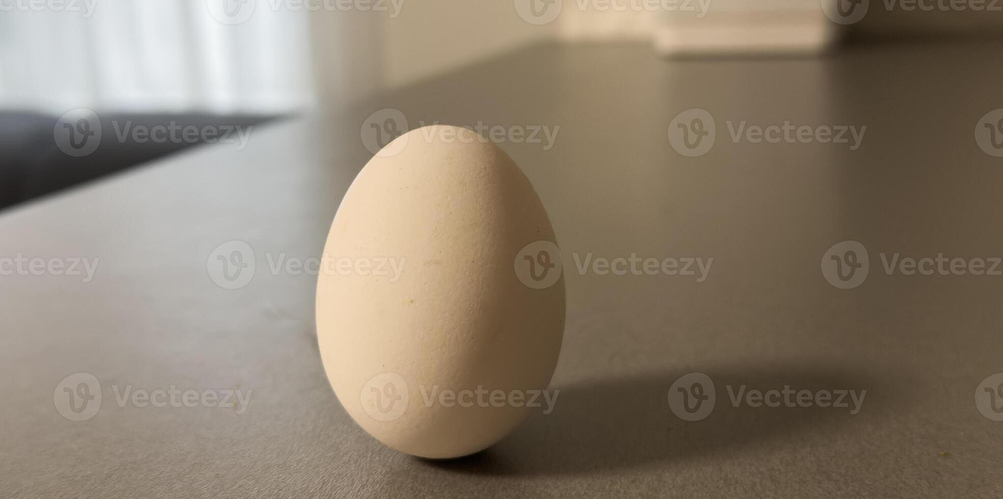 One white egg on background. Creative minimal concept. photo