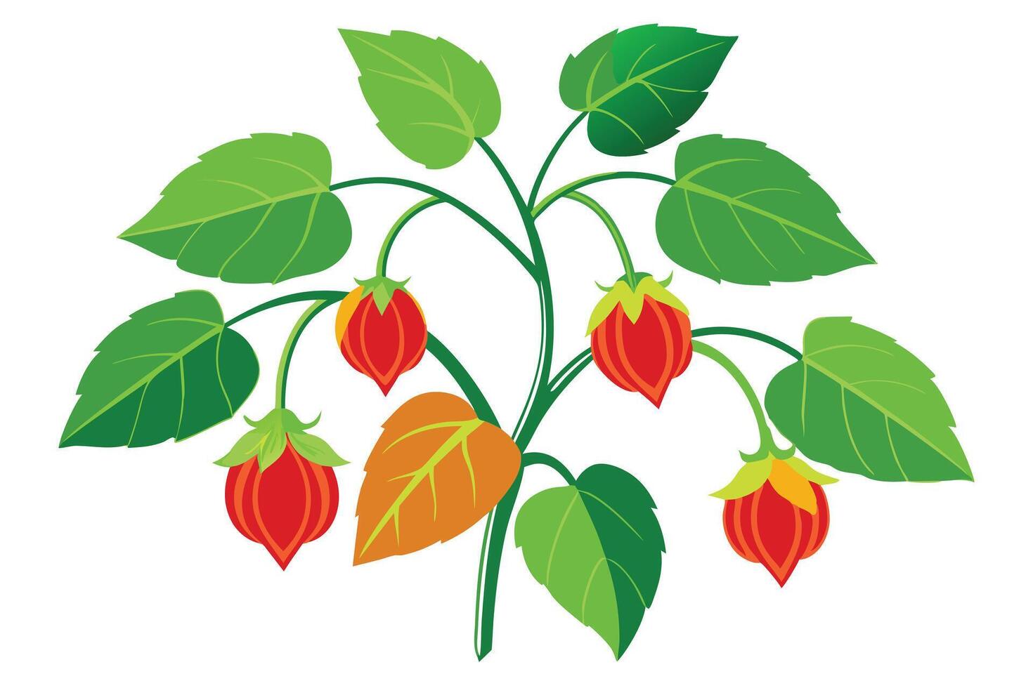 Vibrant Illustration of a Tropical Plant with Red Fruits vector