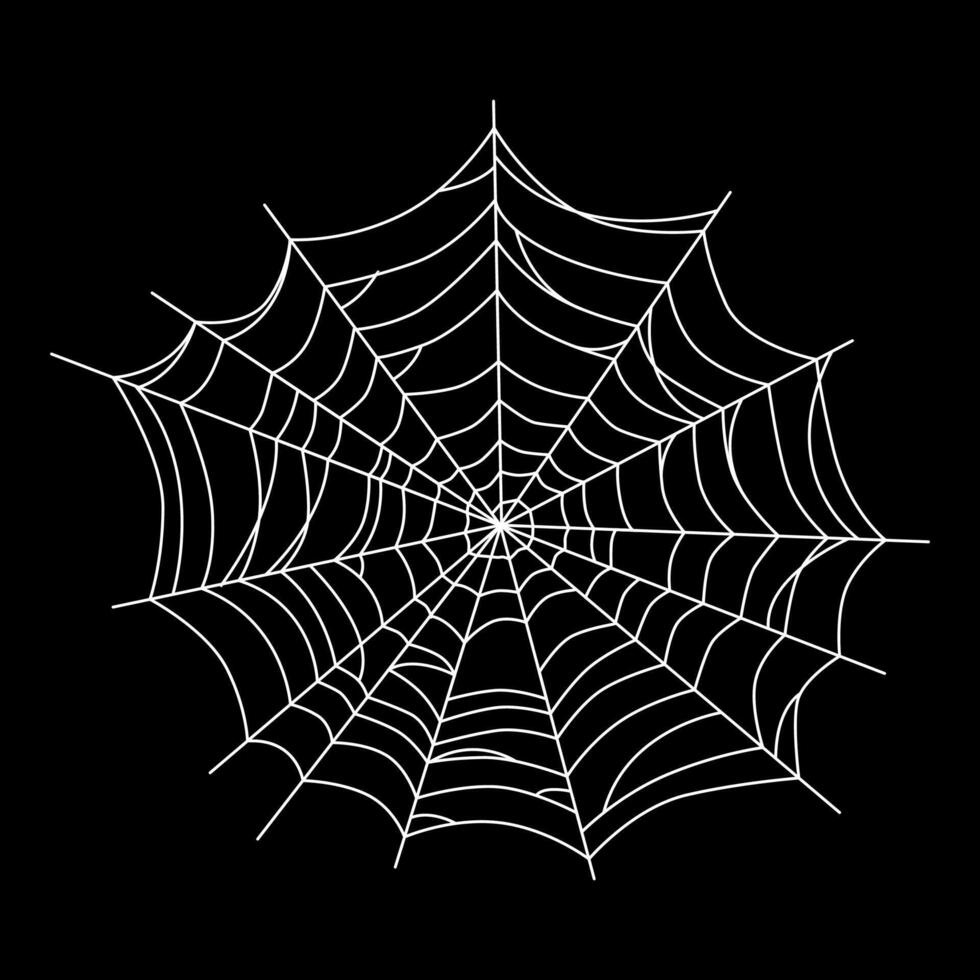 hand drawn cobweb illustration vector