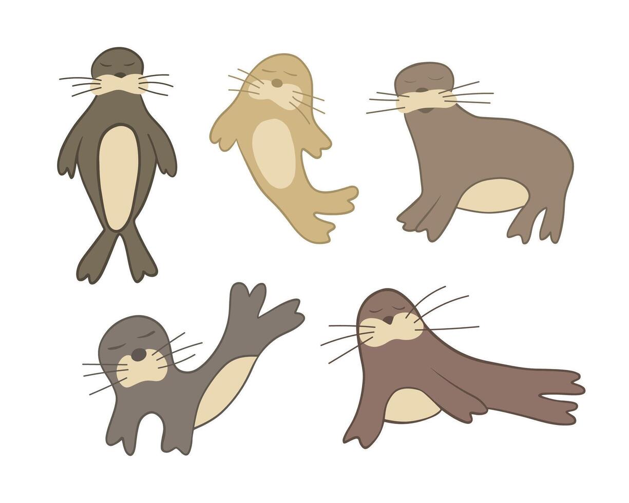 Illustration of a set of fur seals on a white background. vector