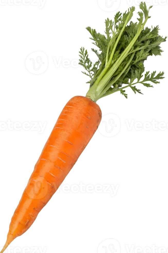 Fresh, vibrant orange carrot with green leaves, a healthy and delicious vegetable png