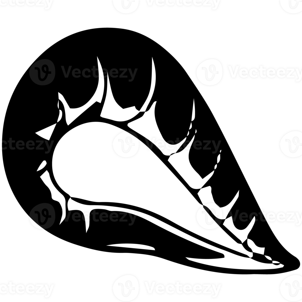 A black and white illustration of a conch shell png