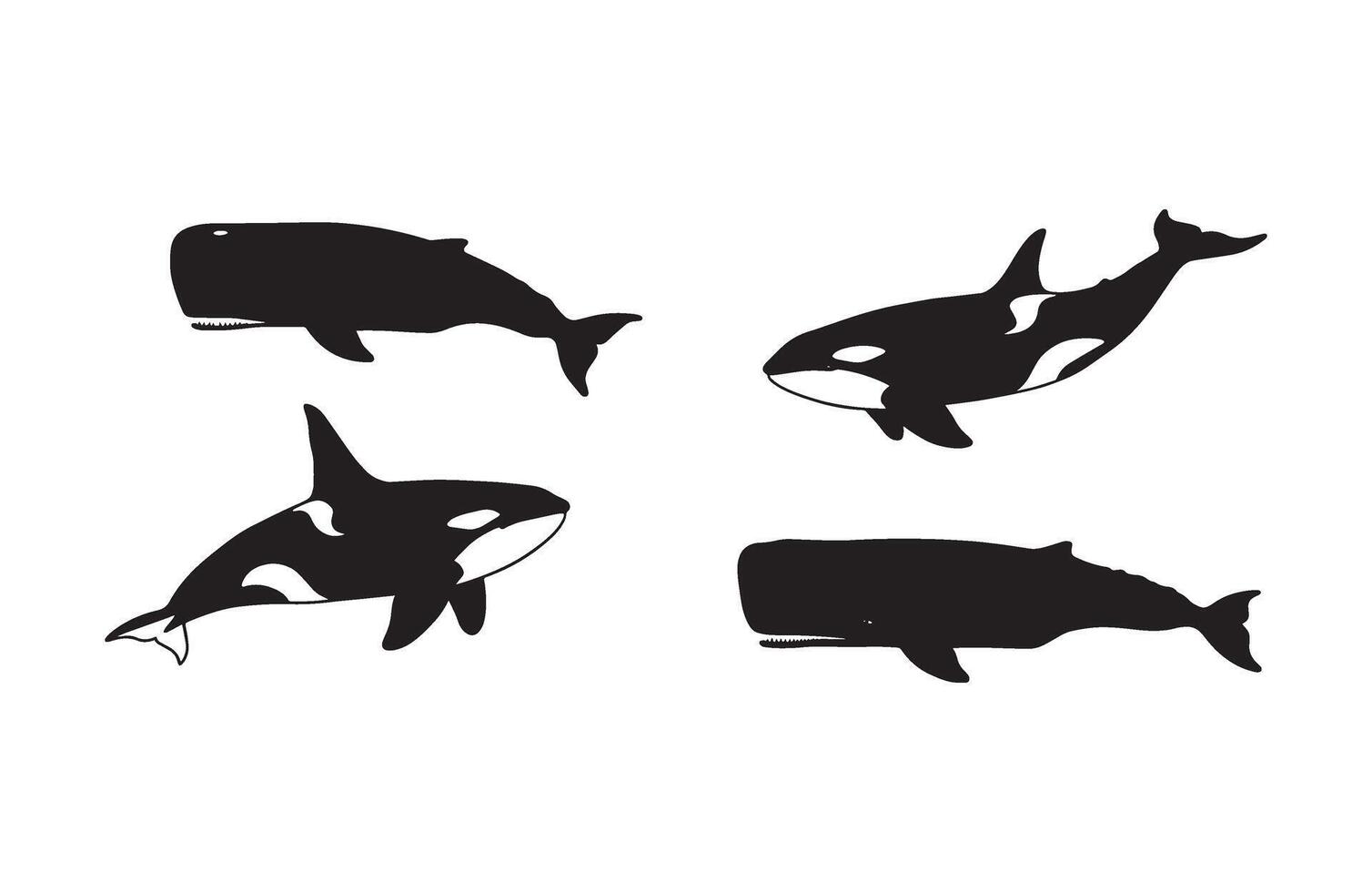 Black and white whale silhouettes pack including different species for sea life designs vector