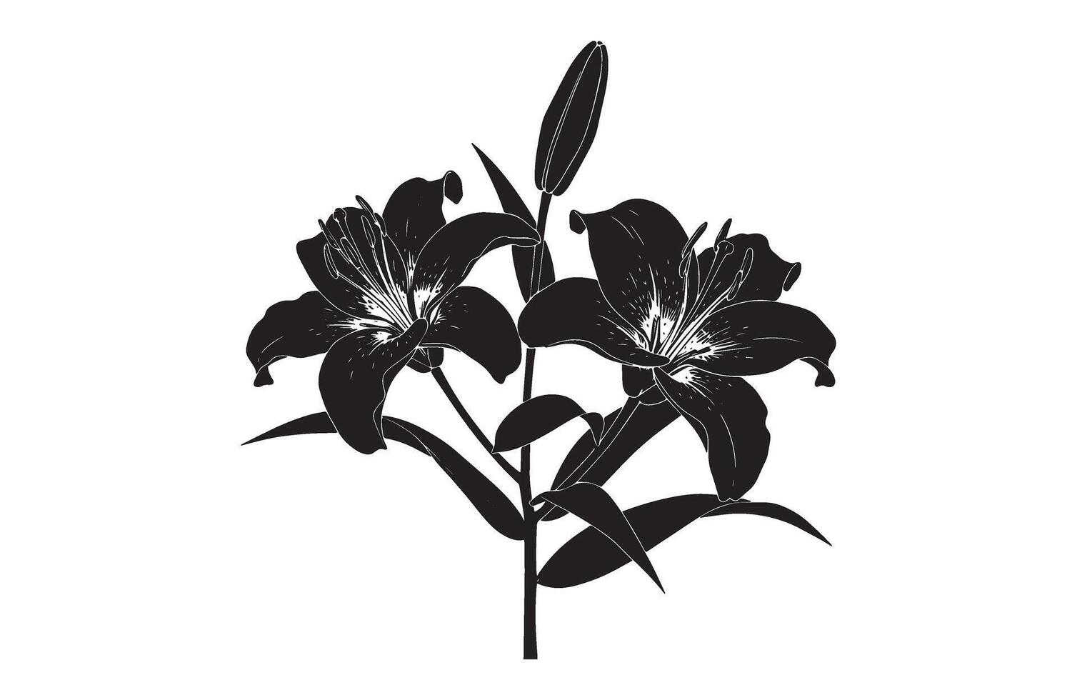 Minimalistic black and white flower cluster artwork with fine line details vector