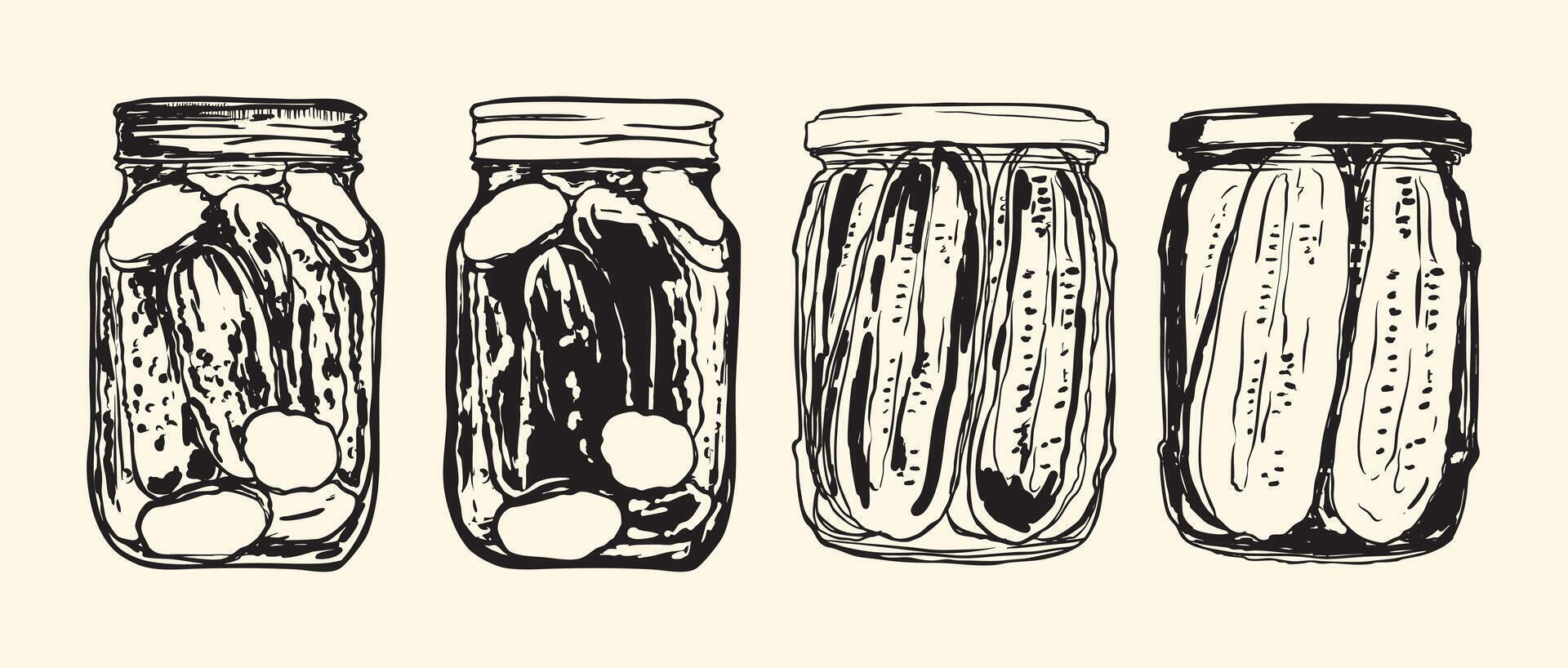 Dill Pickle Jar Sketches Set vector