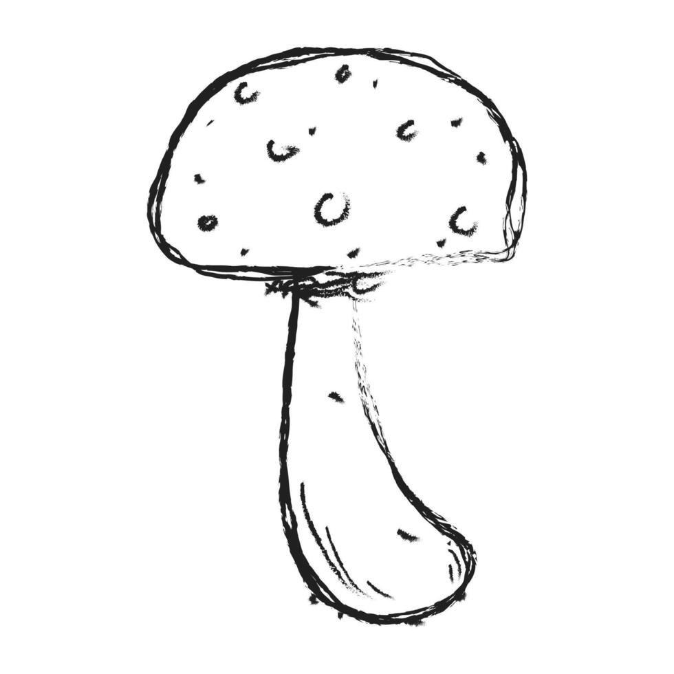 Mushroom hand drawn illustration. Floral element design, Hand drawn botanical illustration vector