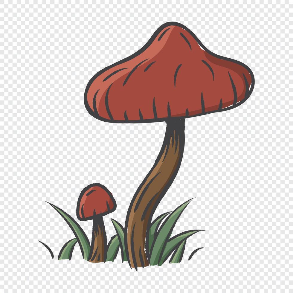 Sketch mushroom. Hand drawn forest mushroom with grass. Mushrooms hand drawn illustration. Mushroom line art . vector