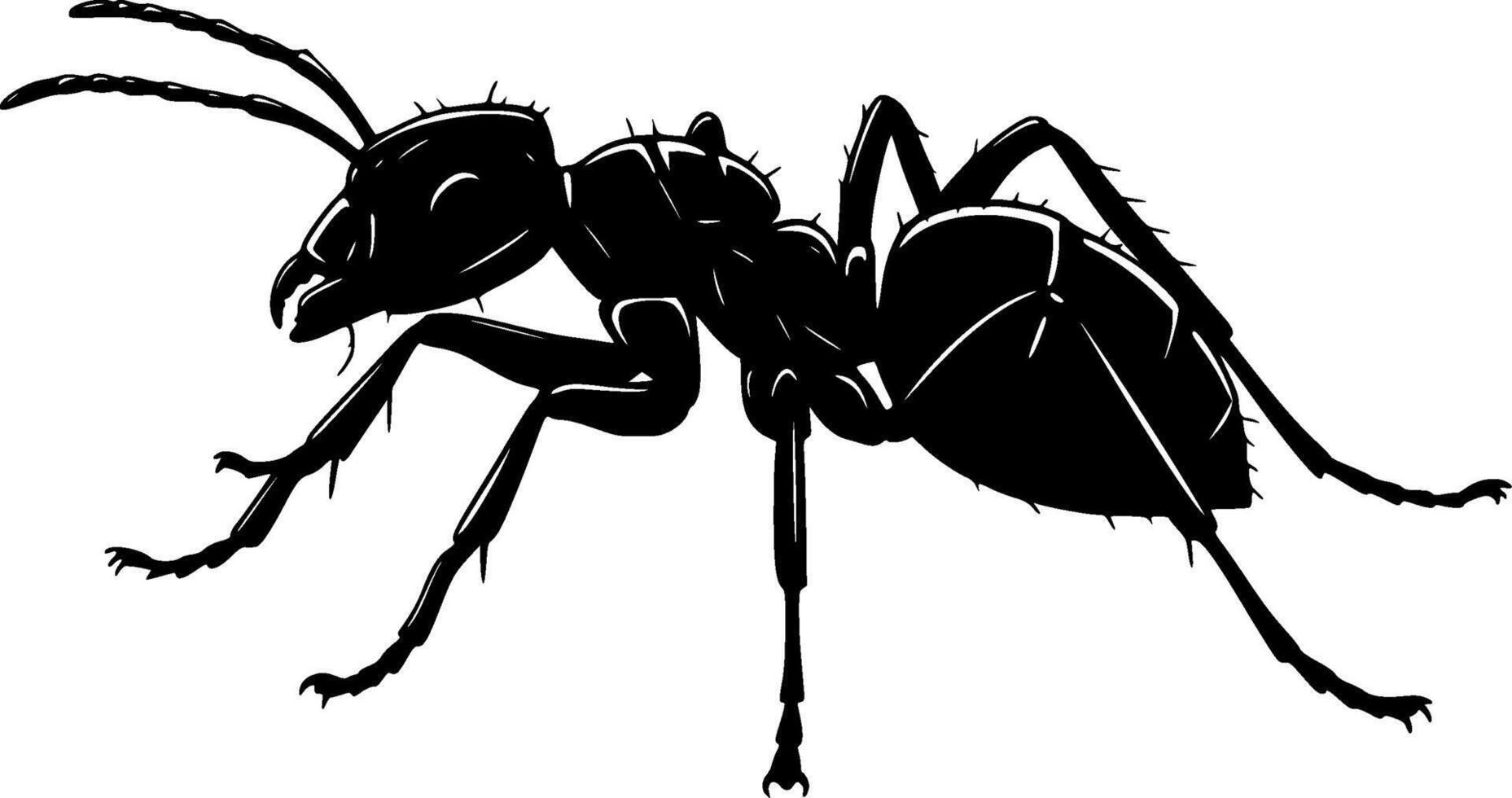ant - black silhouette on white background vector