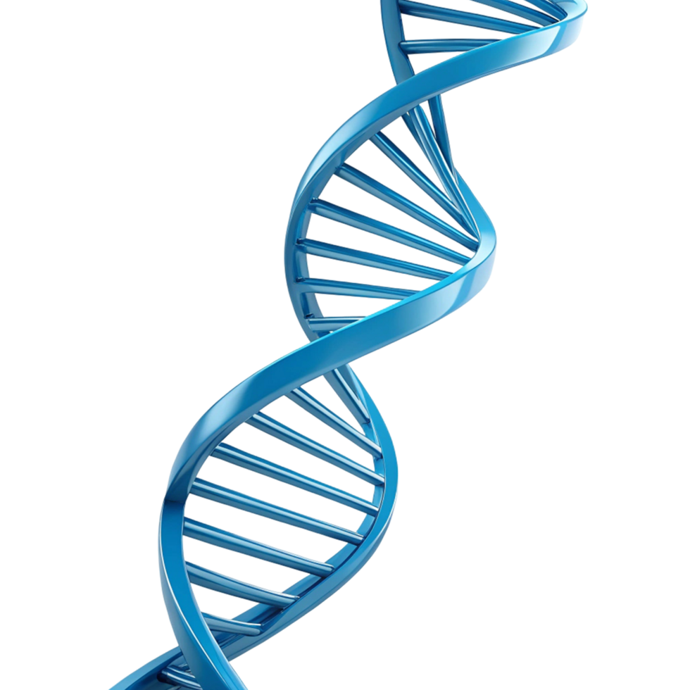 Abstract 3D rendering of a DNA double helix. png