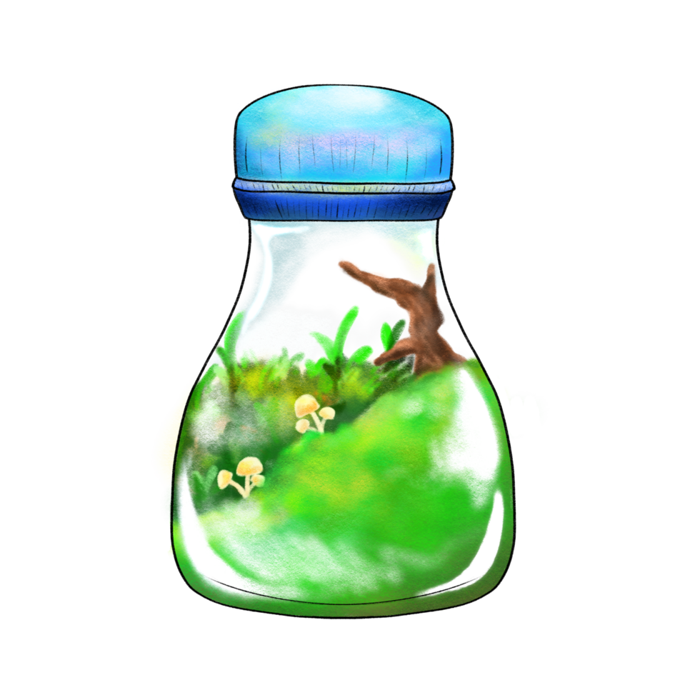 Mushroom terrarium crayon cartoon illustration, plants in glass container drawing png
