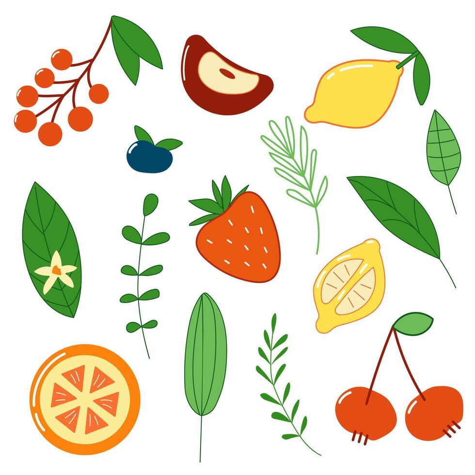 Fruit set with lemon and strawberry vector