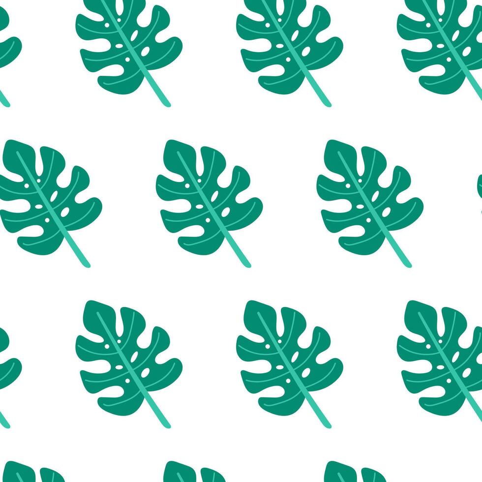 Monstera leaf seamless pattern on white background. Summer seamless pattern. vector