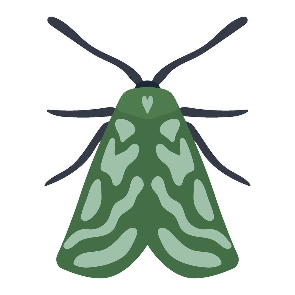 Green moth illustration depicting a simple and stylized design. The symmetrical pattern on the wings features distinct camouflage patterns vector
