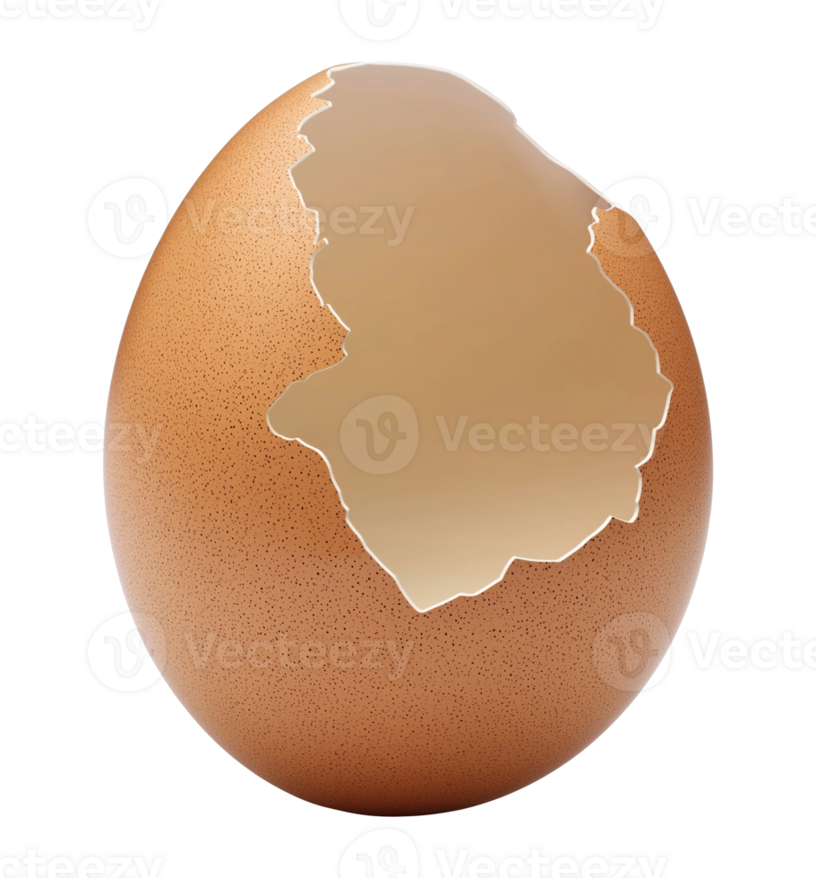 Broken egg shell, isolated on a transparent background png