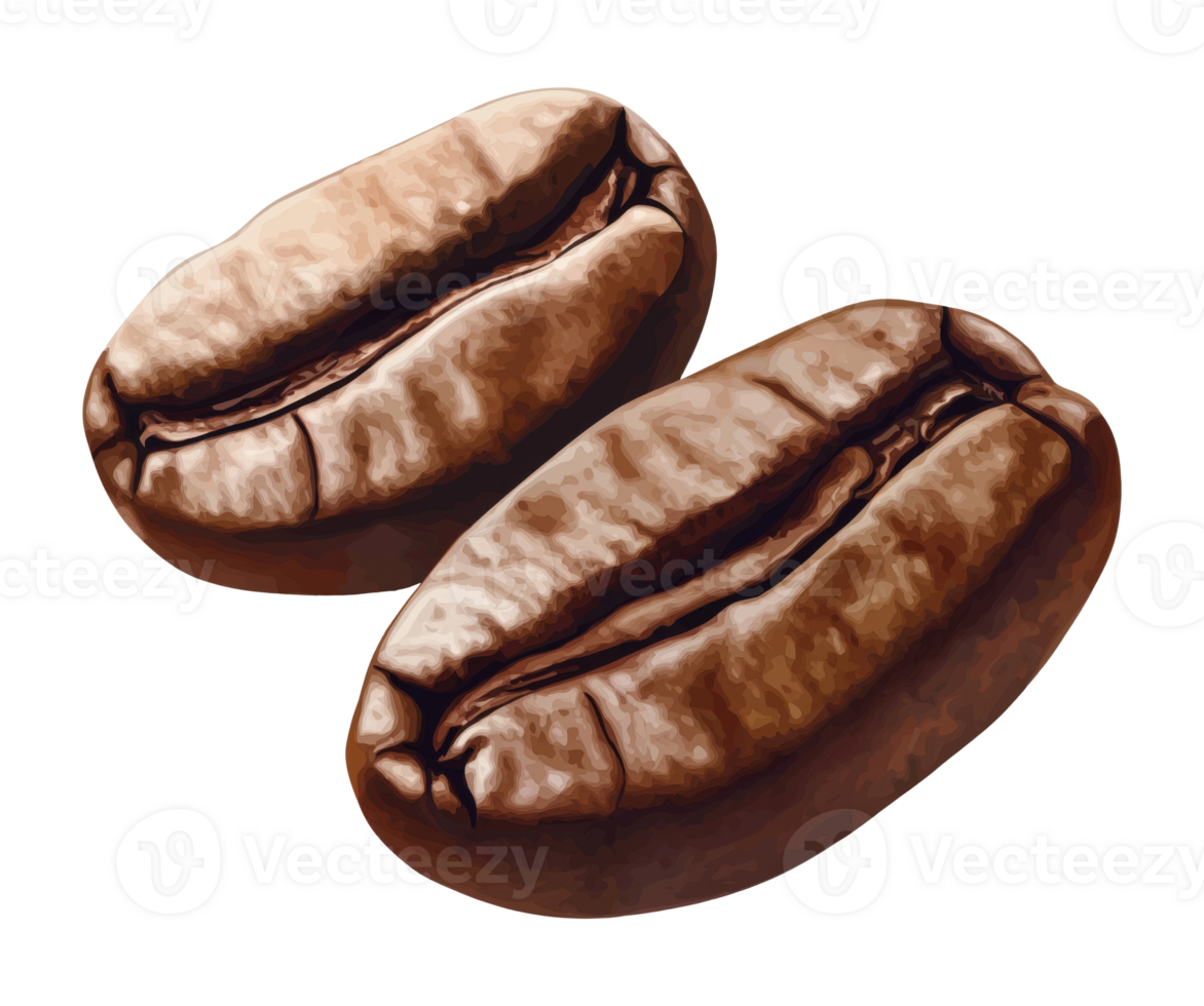 Two coffee beans isolated on transparent background png