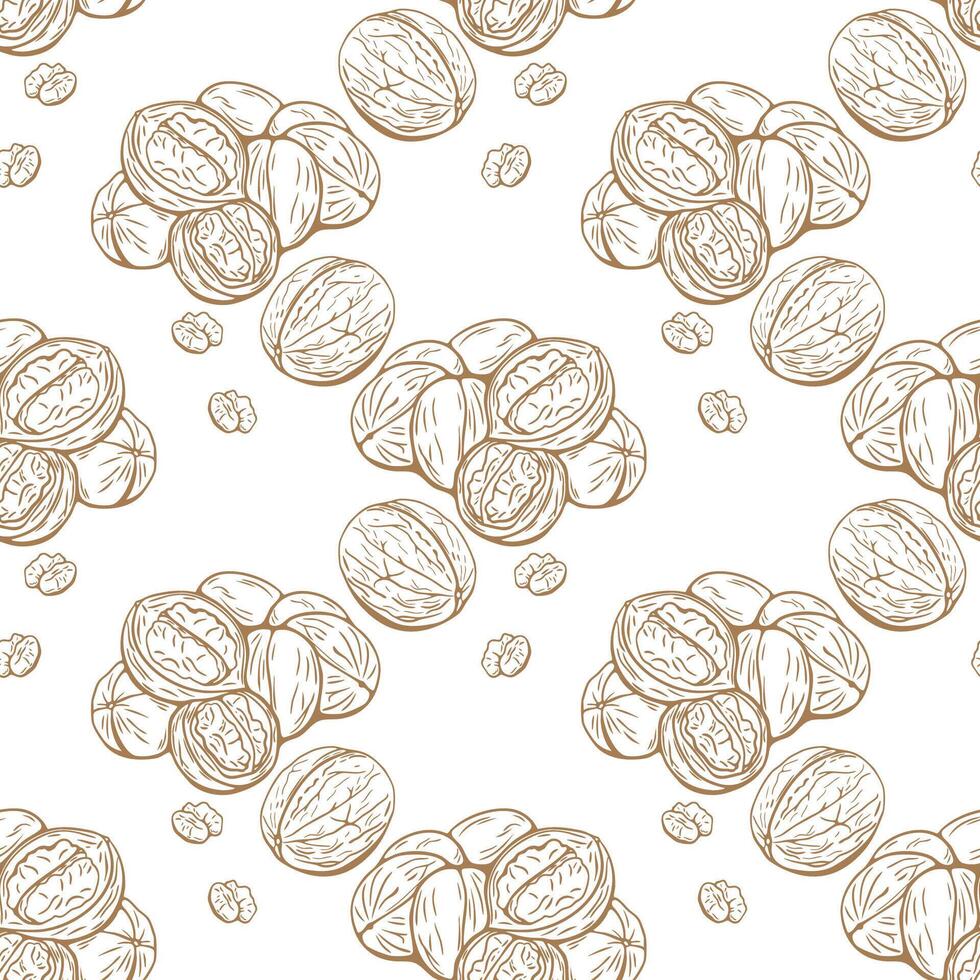 Walnut seamless pattern in detailed engraving sketch style vector