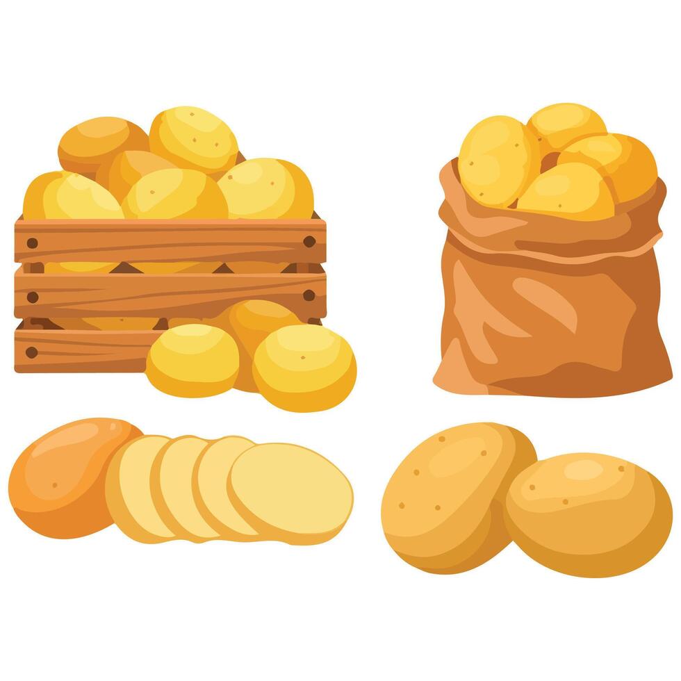 Potato products food set isolated illustration on white background vector