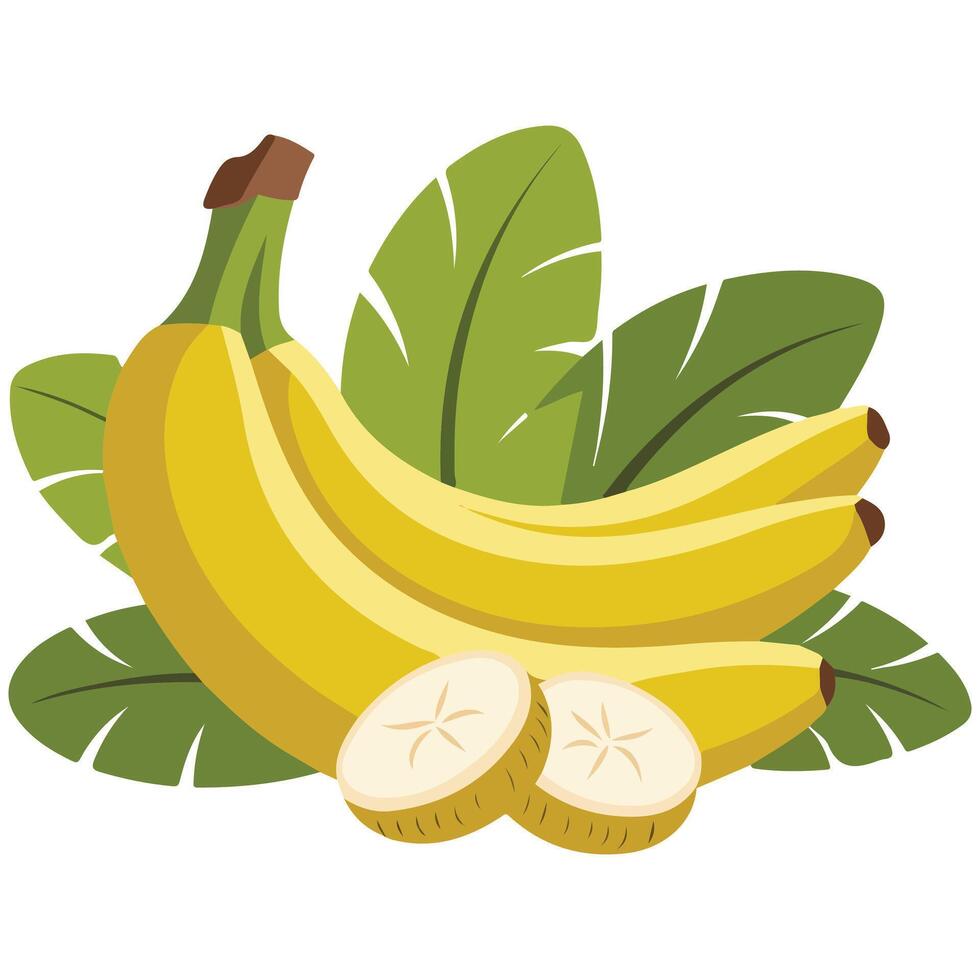 sweet bananas half whole exotic isolated illustration on white background vector