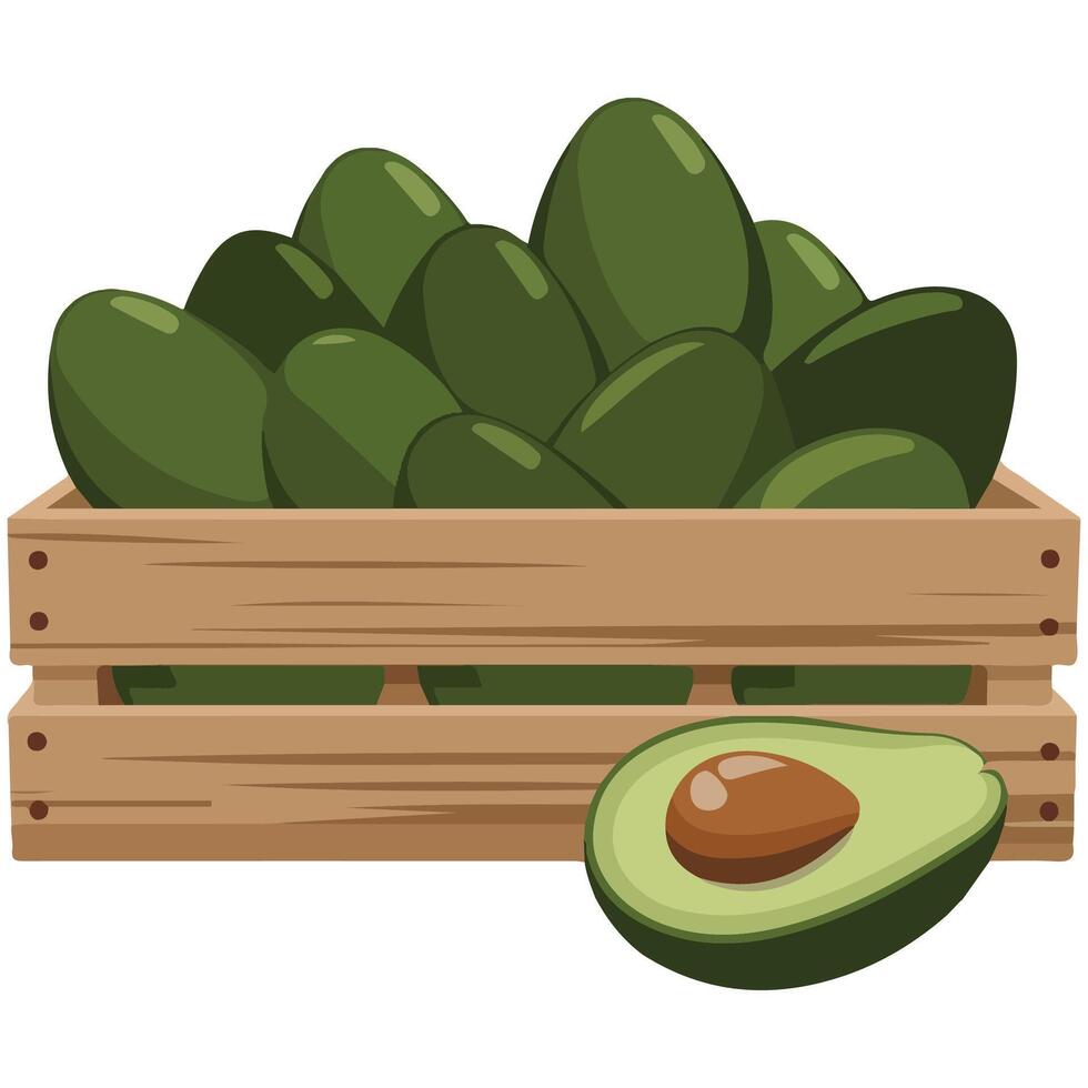 wooden crate tropical avocados fresh isolated illustration on white background vector