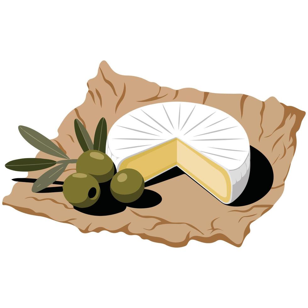 camembert cheese disk paper tray isolated illustration on white background vector