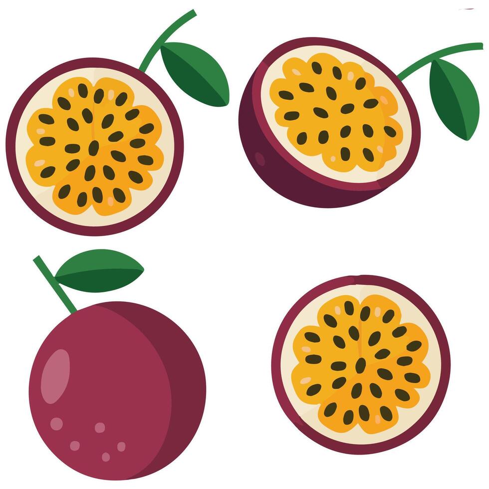 Passion fruit exotic set isolated illustration on white background vector