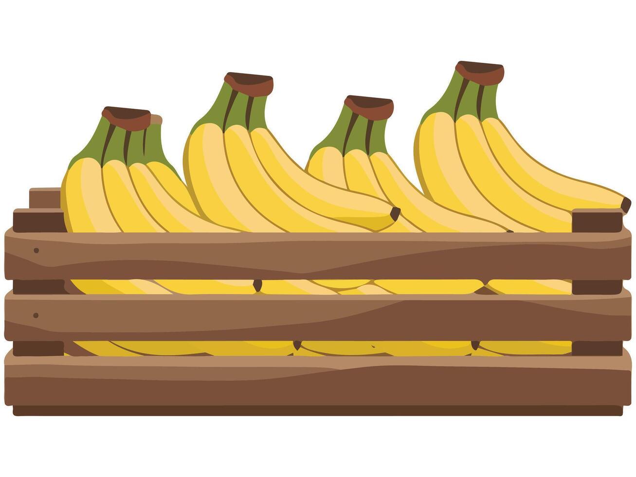 wooden box tropical bananas fruit isolated illustration on white background vector