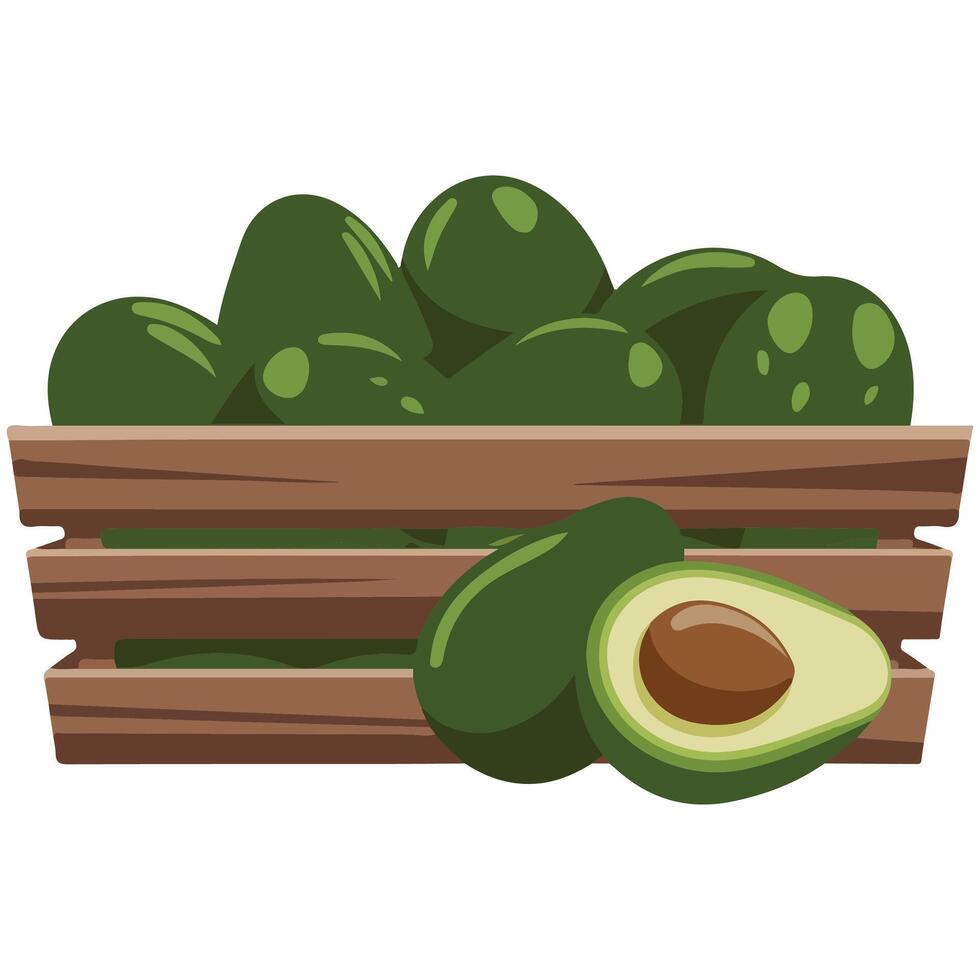 healthy avocados wooden box agriculture isolated illustration on white background vector