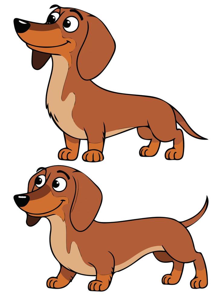 dachshund dogs different poses cartoon isolated illustration on white background vector