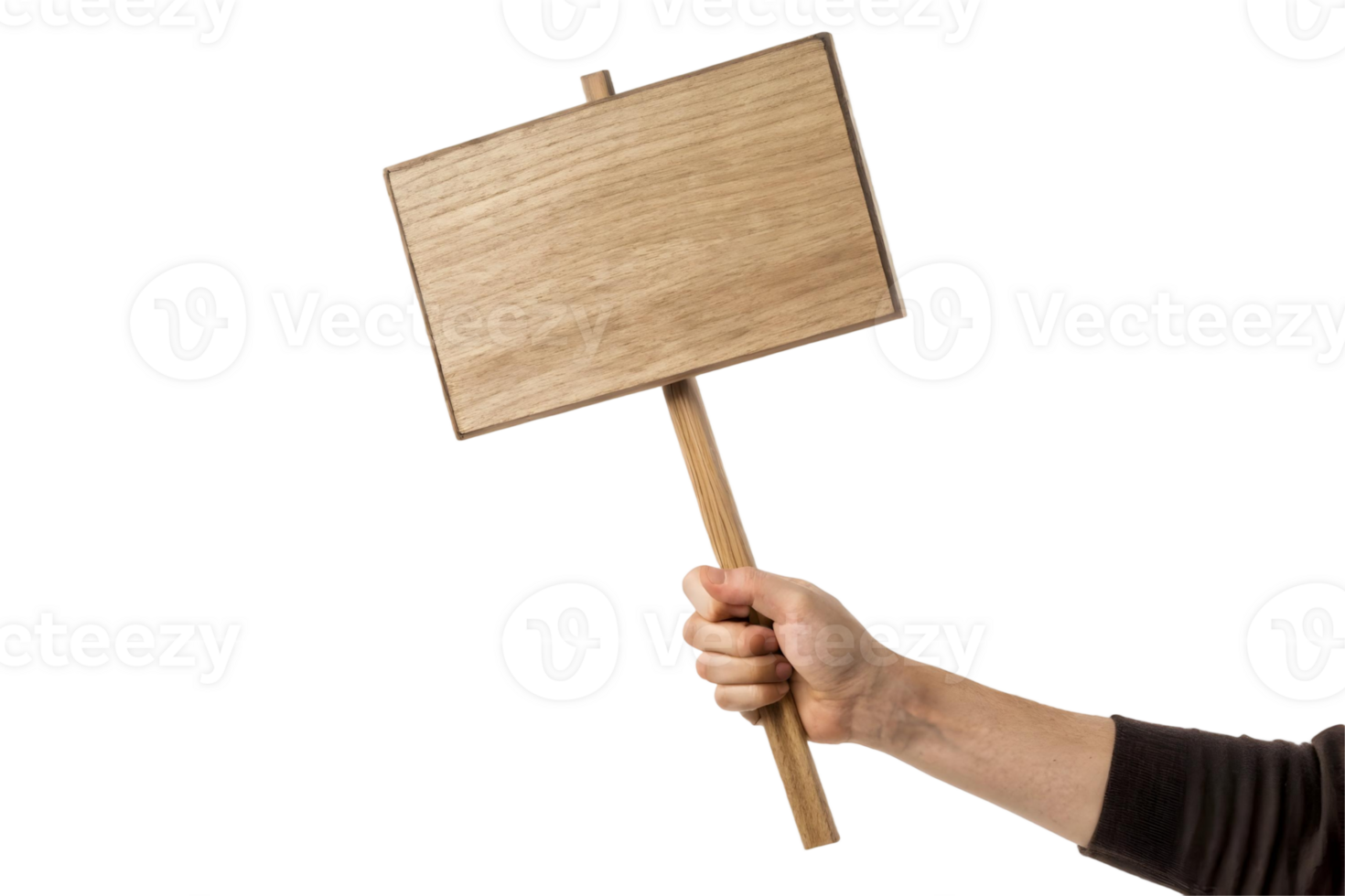 Hand holding a blank wooden sign on a stick ready for message on transparent background for protest use png