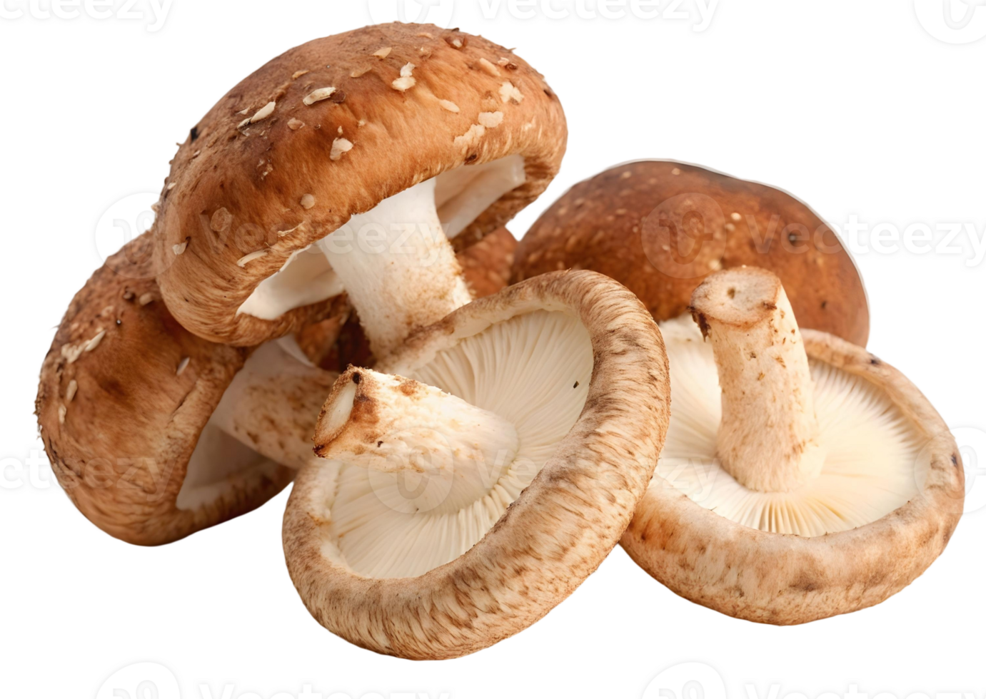 A group of shiitake mushrooms with brown caps and white stems on a transparent background close up view png