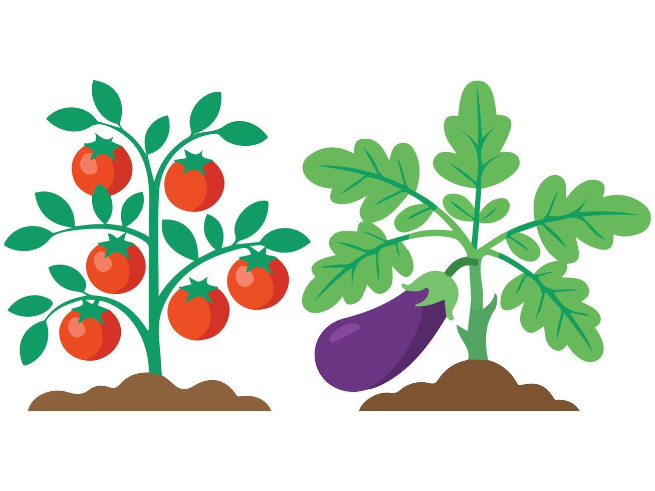 Organic vegetable garden with eggplants and pumpkins isolated illustration on white background vector