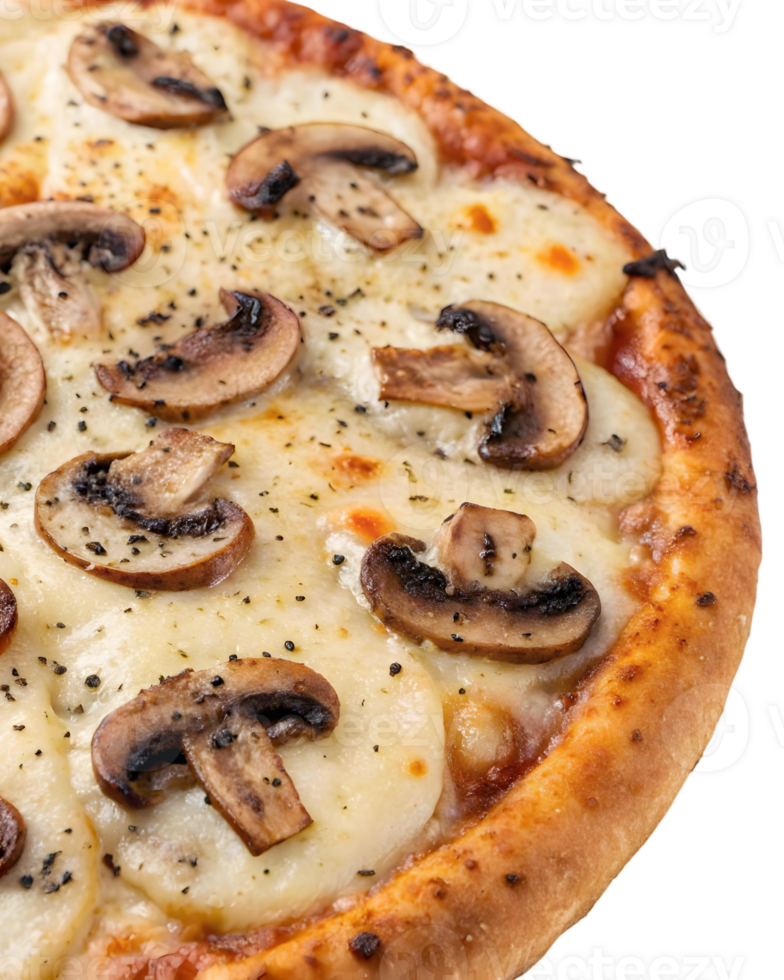 Close up of a delicious mushroom pizza with melted cheese and herbs on a transparent background view from above png