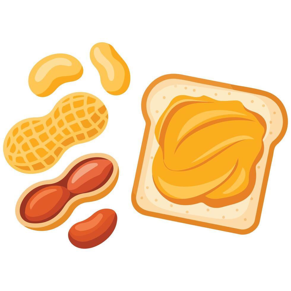 Peanuts and butter snack isolated illustration on white background vector