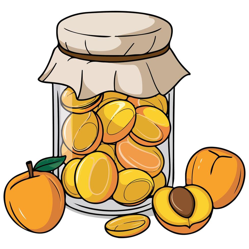 apricot jam jar fresh fruit isolated illustration on white background vector