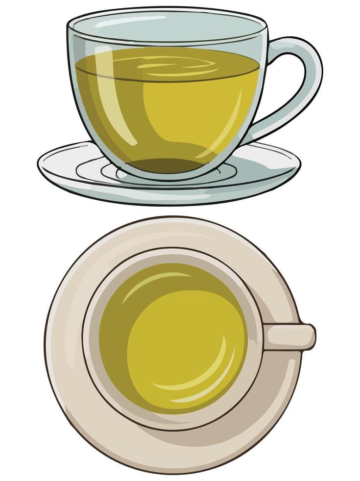 tea cup with fresh leaves isolated illustration on white background vector