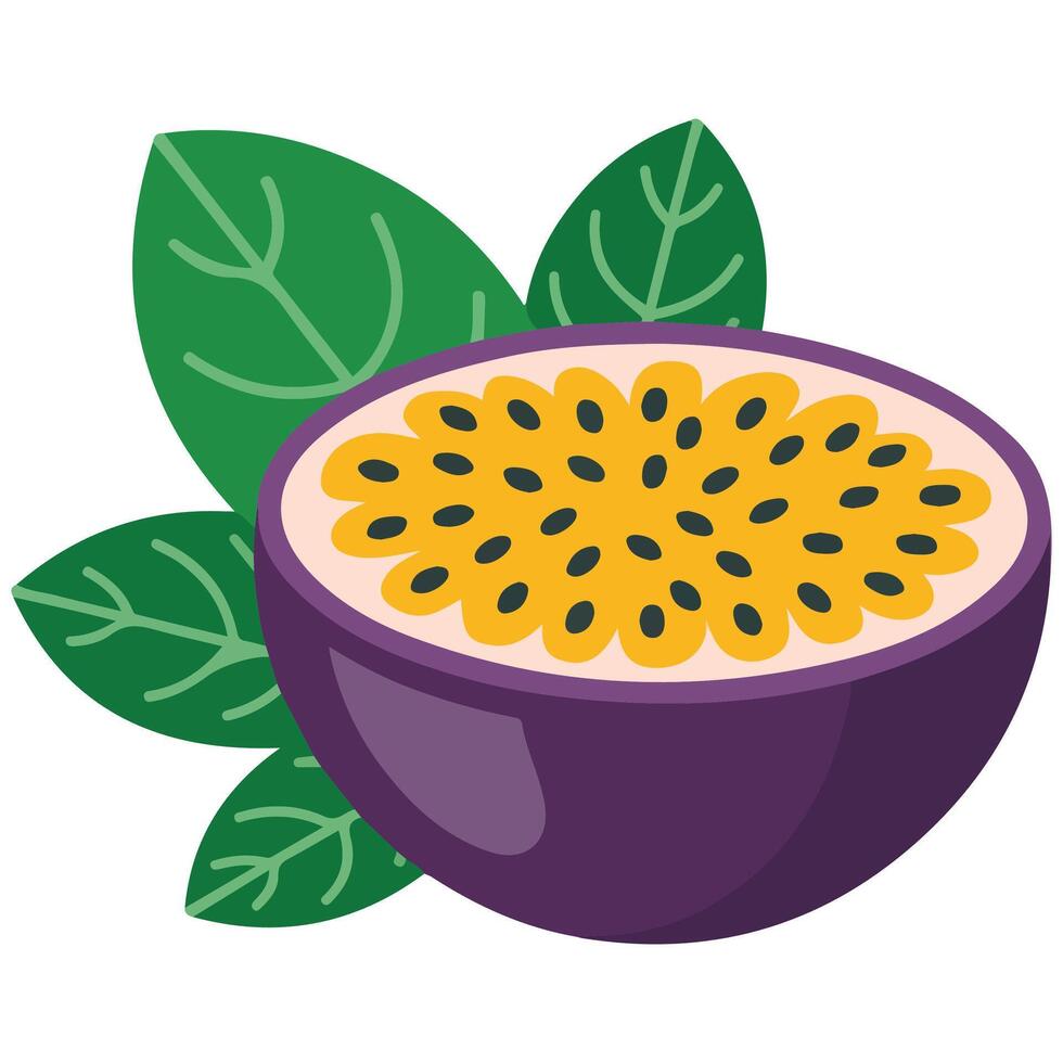 Purple passion fruit with leaf isolated illustration on white background vector