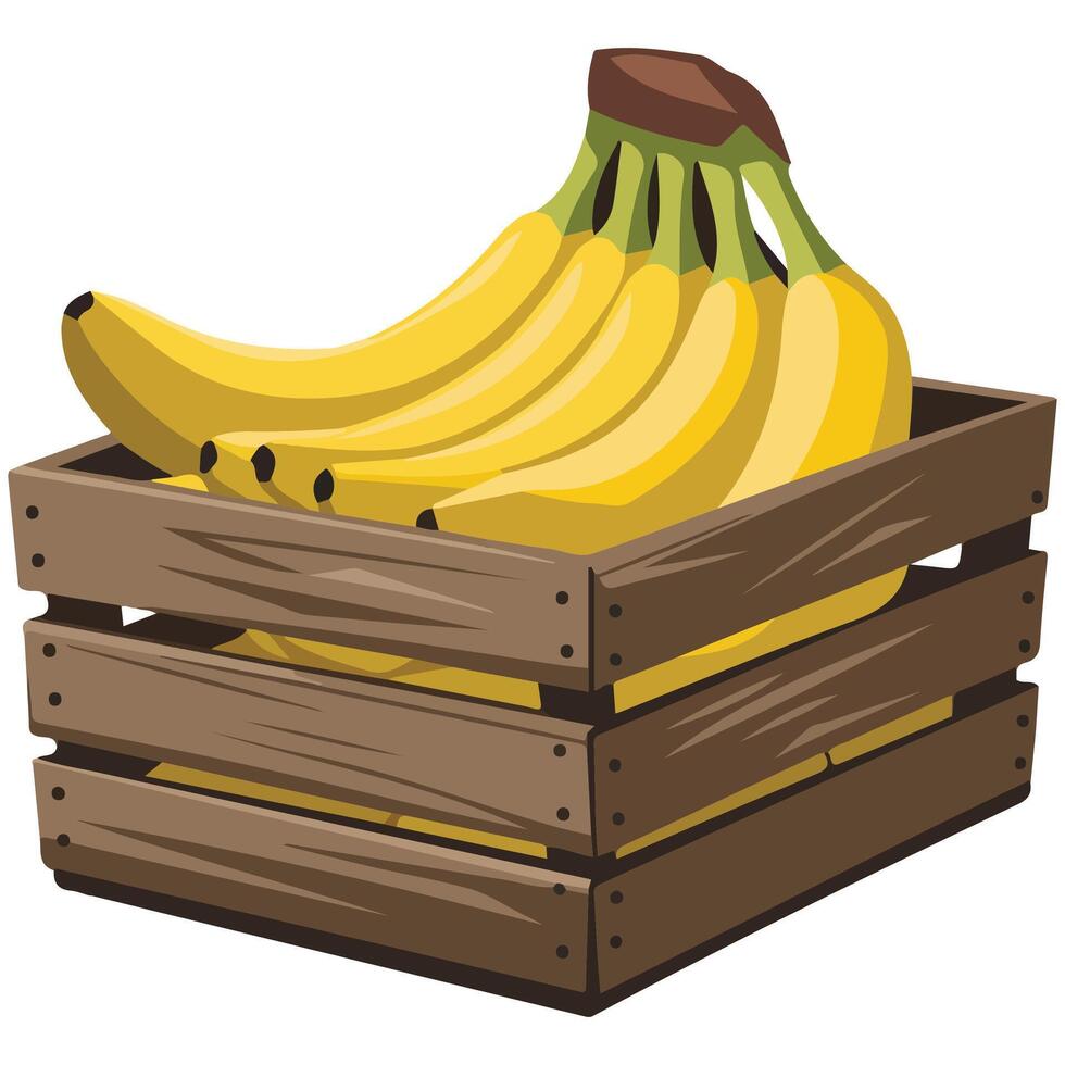 fresh bananas wooden crate agriculture isolated illustration on white background vector