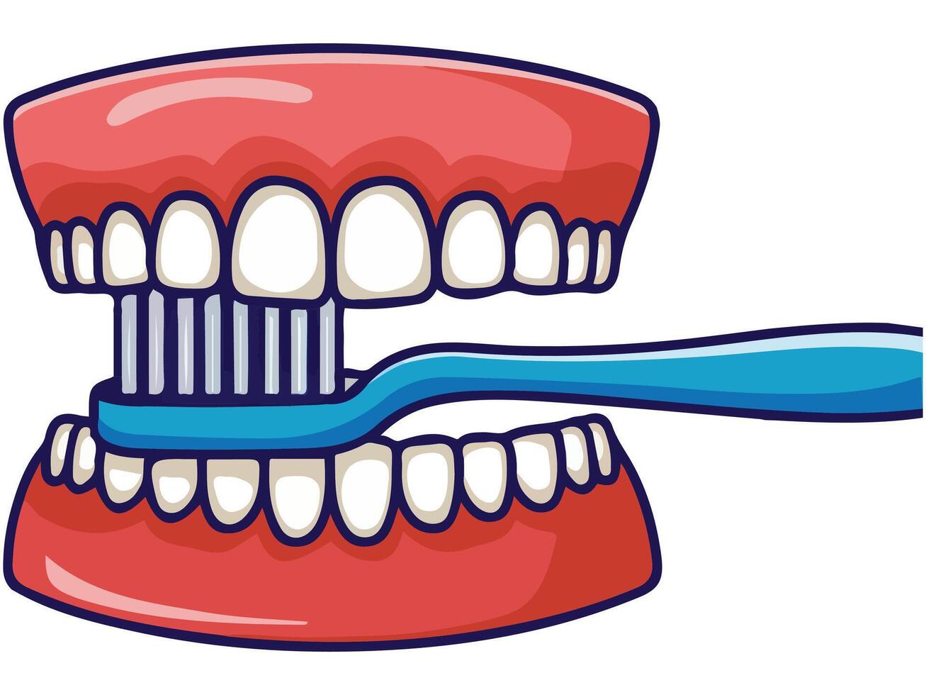 proper tooth brushing technique dental isolated illustration on white background vector