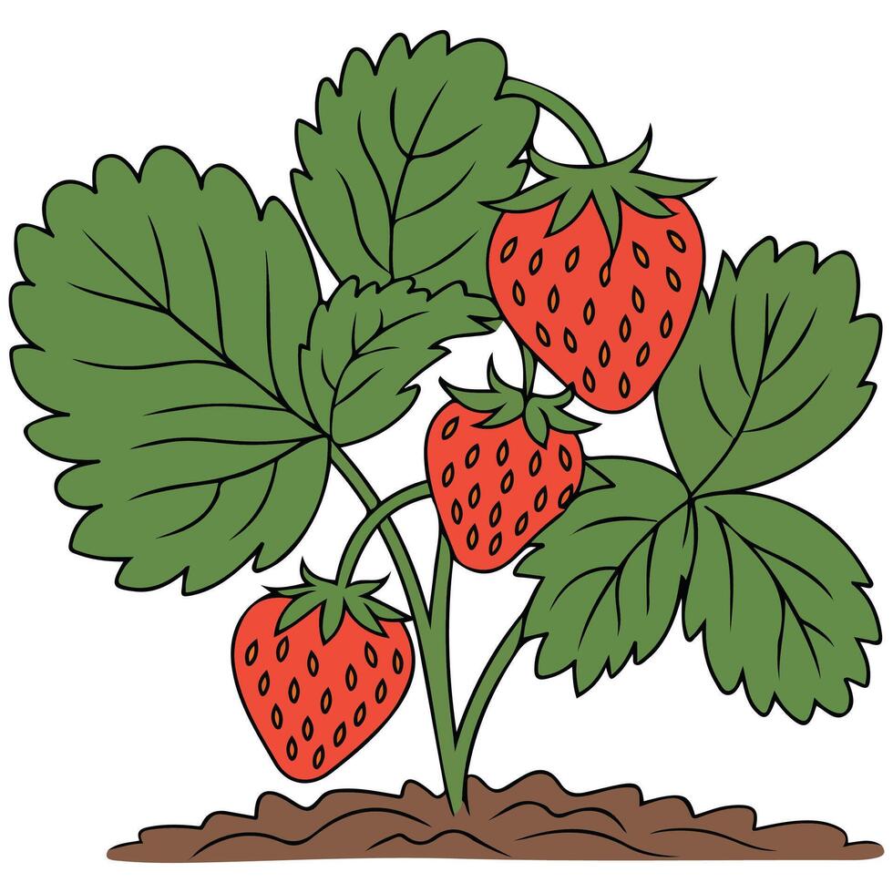 strawberry icon sweet red fruit isolated illustration on white background vector
