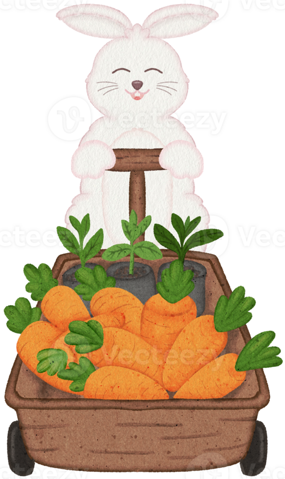 Easter Bunny Holding Carrot coloring illustration png