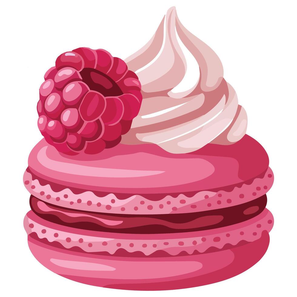 French raspberry macaron dessert isolated illustration on white background vector