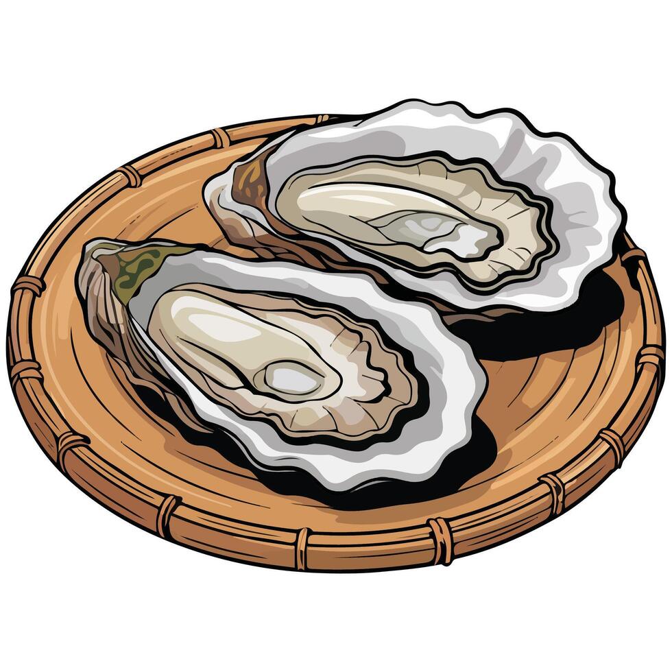 Oysters on bamboo colander isolated illustration on white background vector