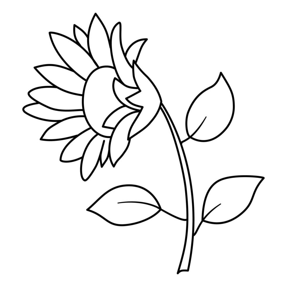 line art of sunflower illustration isolated on white background vector