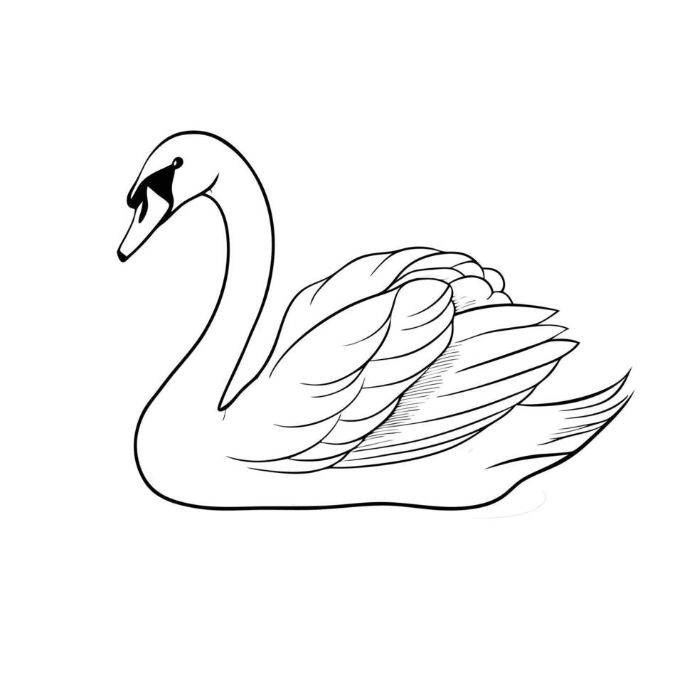 Elegant Swan Illustration Black And White Contour Drawing Isolated vector
