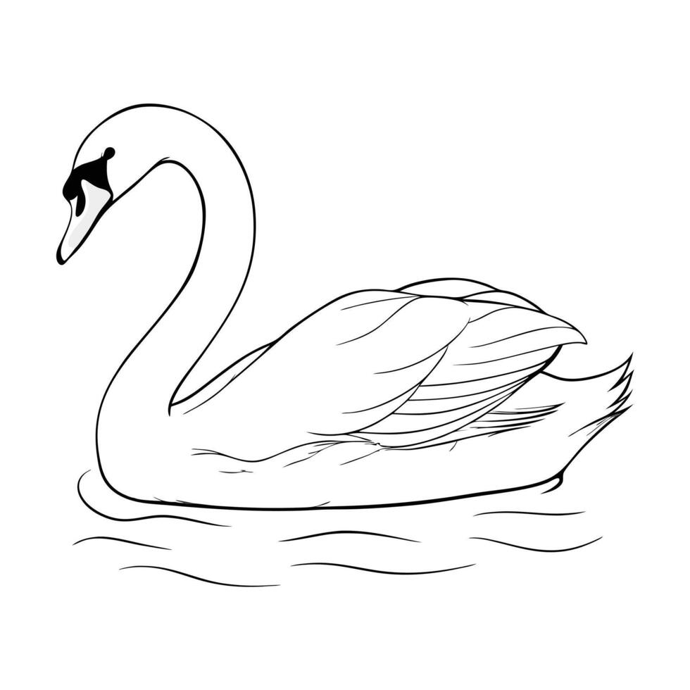 Elegant Swan Outline Swimming Gracefully Across Serene Water Minimalist Line Art Illustration vector