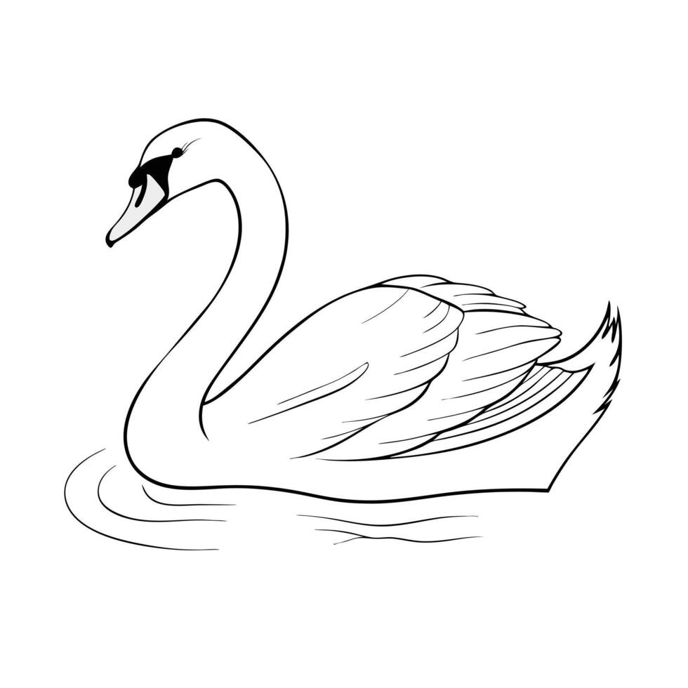 Elegant Swan Swimming Gracefully Minimalist Line Art Illustration Design vector
