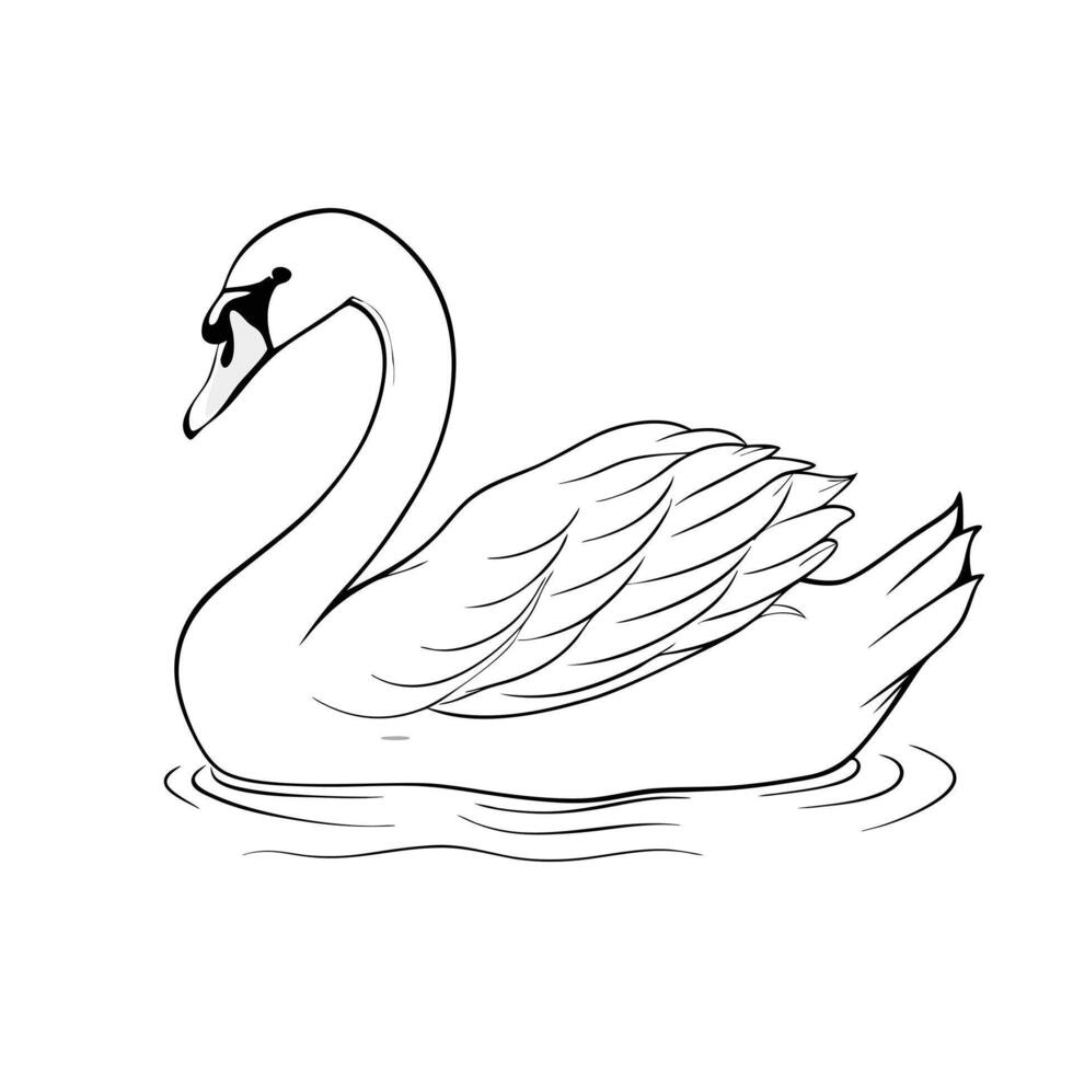 Elegant Swan Floating On Water Line Art Illustration Graphic vector