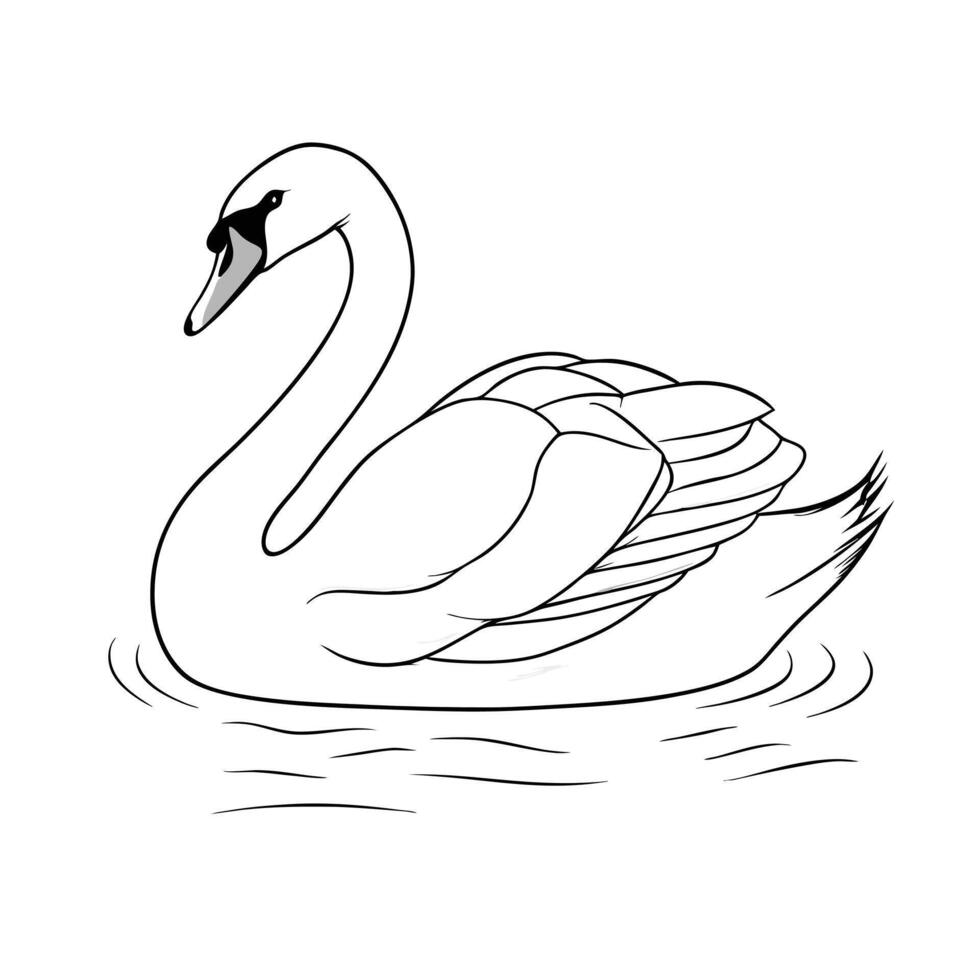 Elegant Swan Floating On Water Line Art Illustration Isolated vector